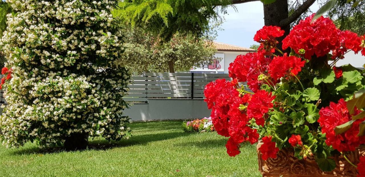 אומאג Fiori Apartment מראה חיצוני תמונה